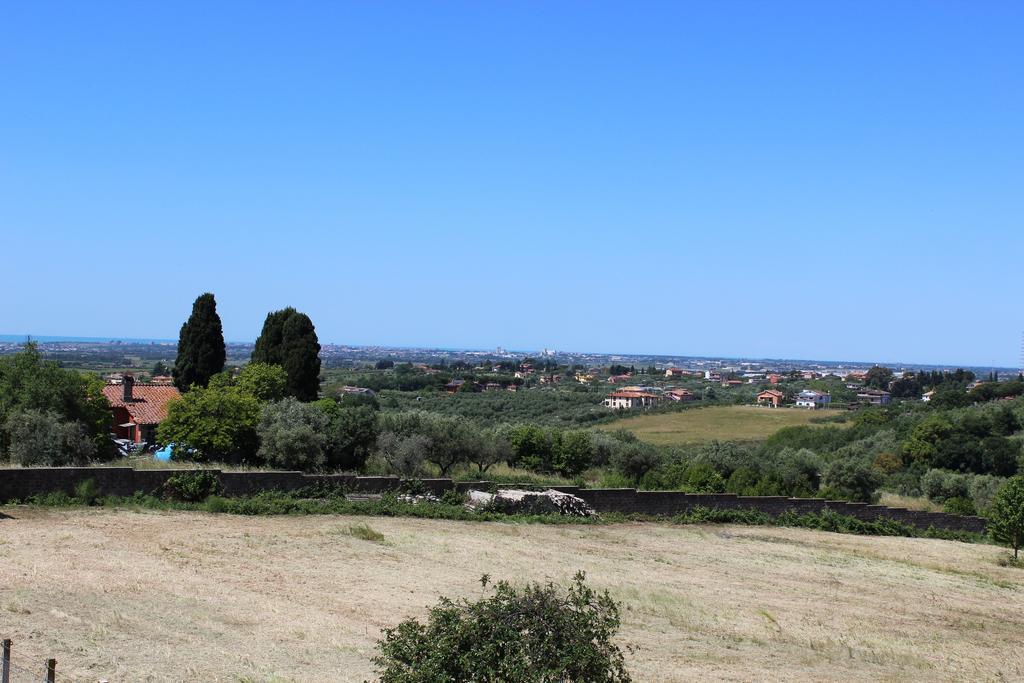 L'Arancio B&B Cecchina Dış mekan fotoğraf